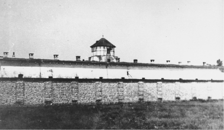 USTAŠE SU NAM UBACIVALE SODU DA STOMACI NABREKNU Jezivo svedočenje žene koja je preživela zloglasni NDH logor